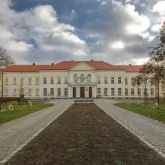 Najciekawsze atrakcje w Brzegu Dolnym, które musisz zobaczyć