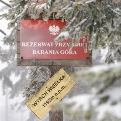 Jaki szlak na Baranią Górę? Odkryj najłatwiejsze trasy i porady