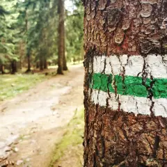 Szlak żółty co oznacza i jak prowadzi do ciekawych miejsc
