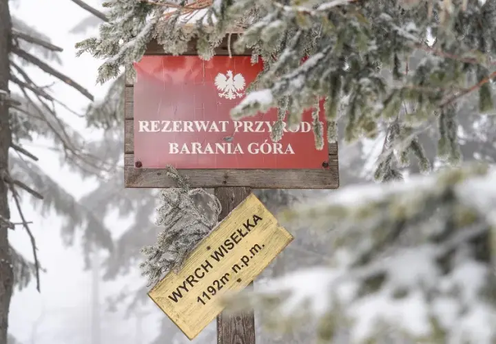 Jaki szlak na Baranią Górę? Odkryj najłatwiejsze trasy i porady