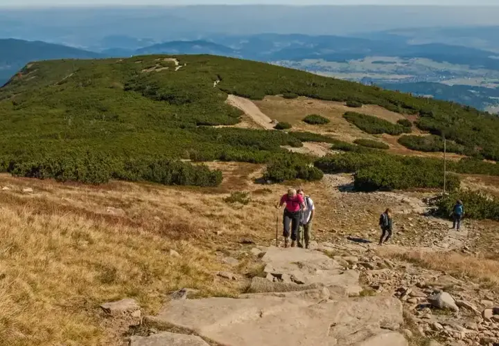 Babia Góra szlak czerwony ile km? Sprawdź jego trudność i długość