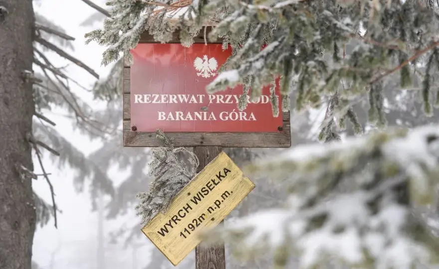 Jaki szlak na Baranią Górę? Odkryj najłatwiejsze trasy i porady