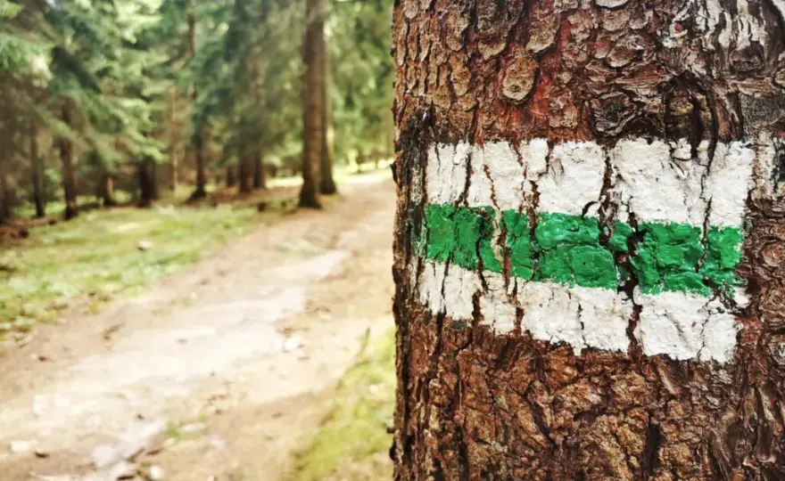 Szlak żółty co oznacza i jak prowadzi do ciekawych miejsc
