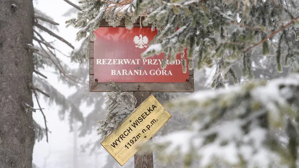 Jaki szlak na Baranią Górę? Odkryj najłatwiejsze trasy i porady